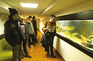 Akváriá s exotickými rybami zaujali našu pozornosť.